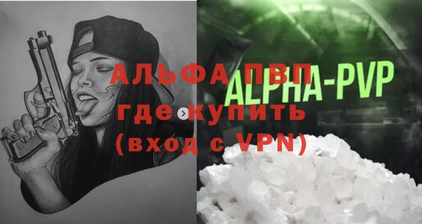 гашик Алексин