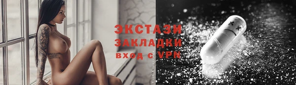 гашик Алексин