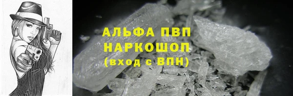 прущие грибы Абинск