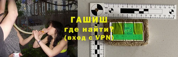 гашик Алексин