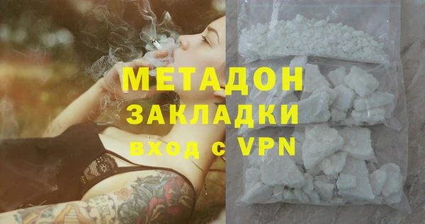 гашик Алексин