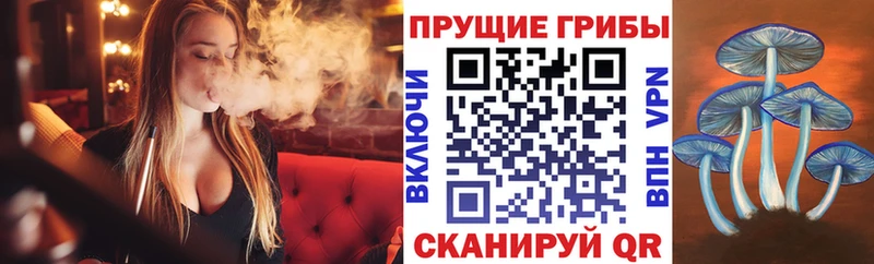 что такое   Цимлянск  Галлюциногенные грибы Magic Shrooms 